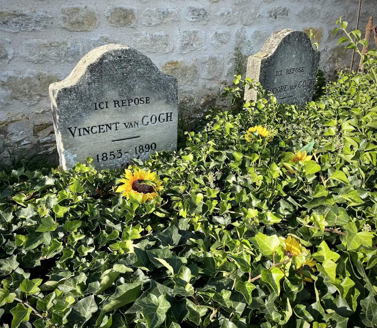 Des tournesols sur la tombe de Vincent van Gogh