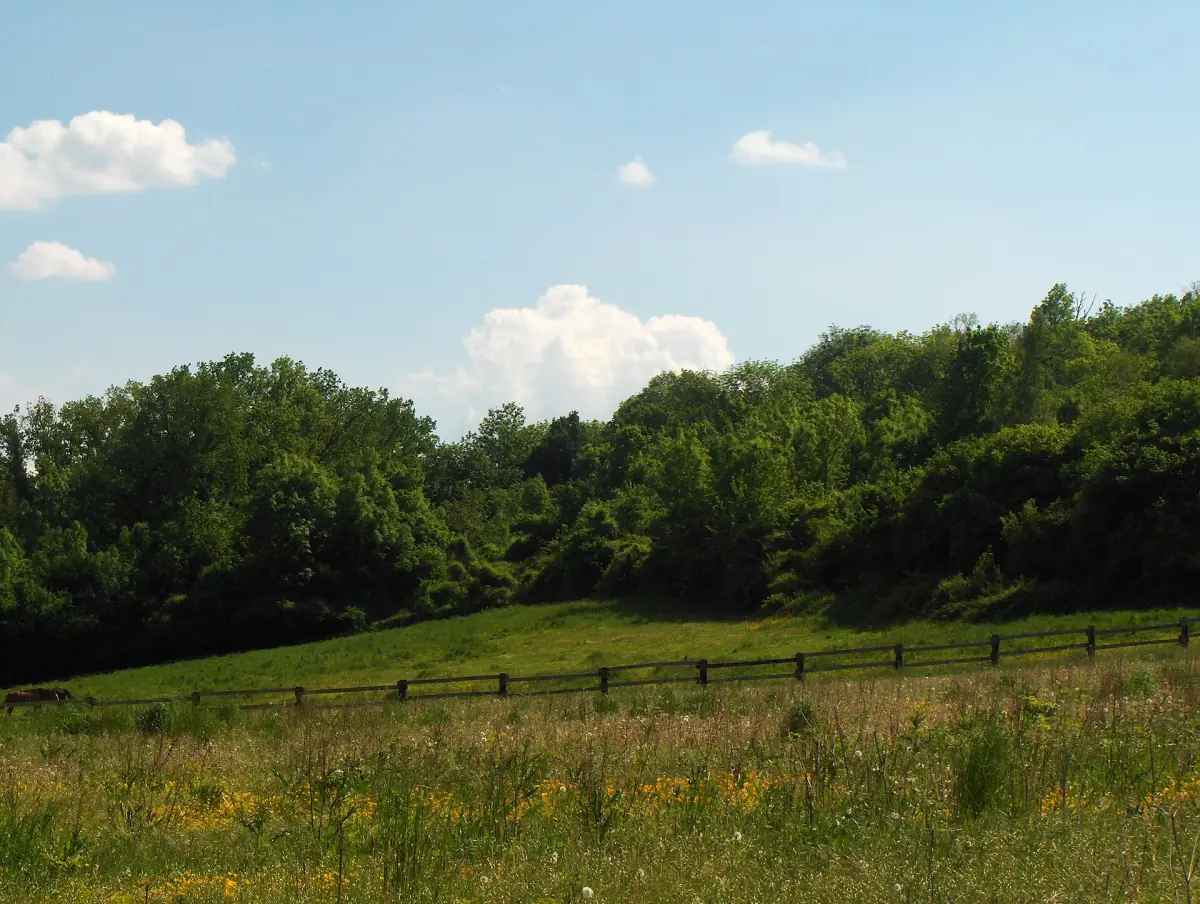 Prairies et bois dans le Vexin